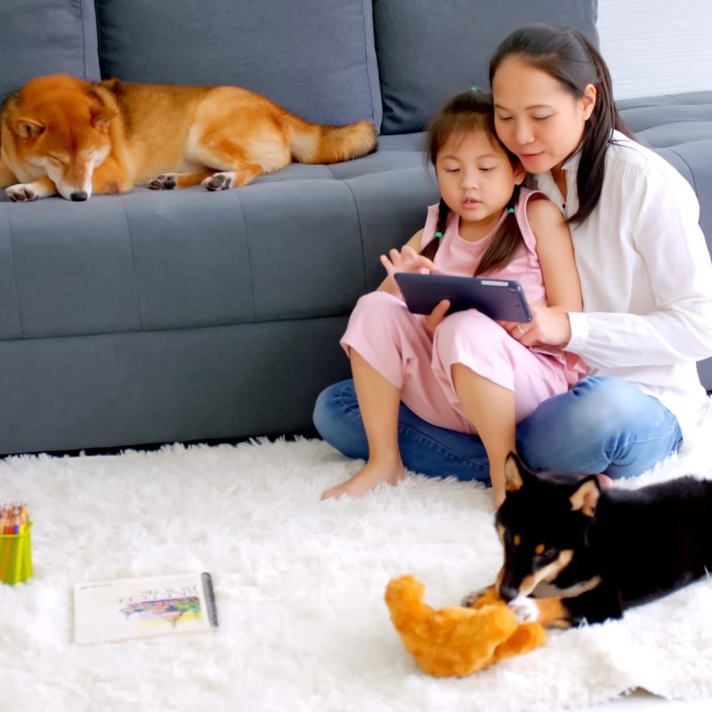 Mother and little daughter with their dog spending time together at home.